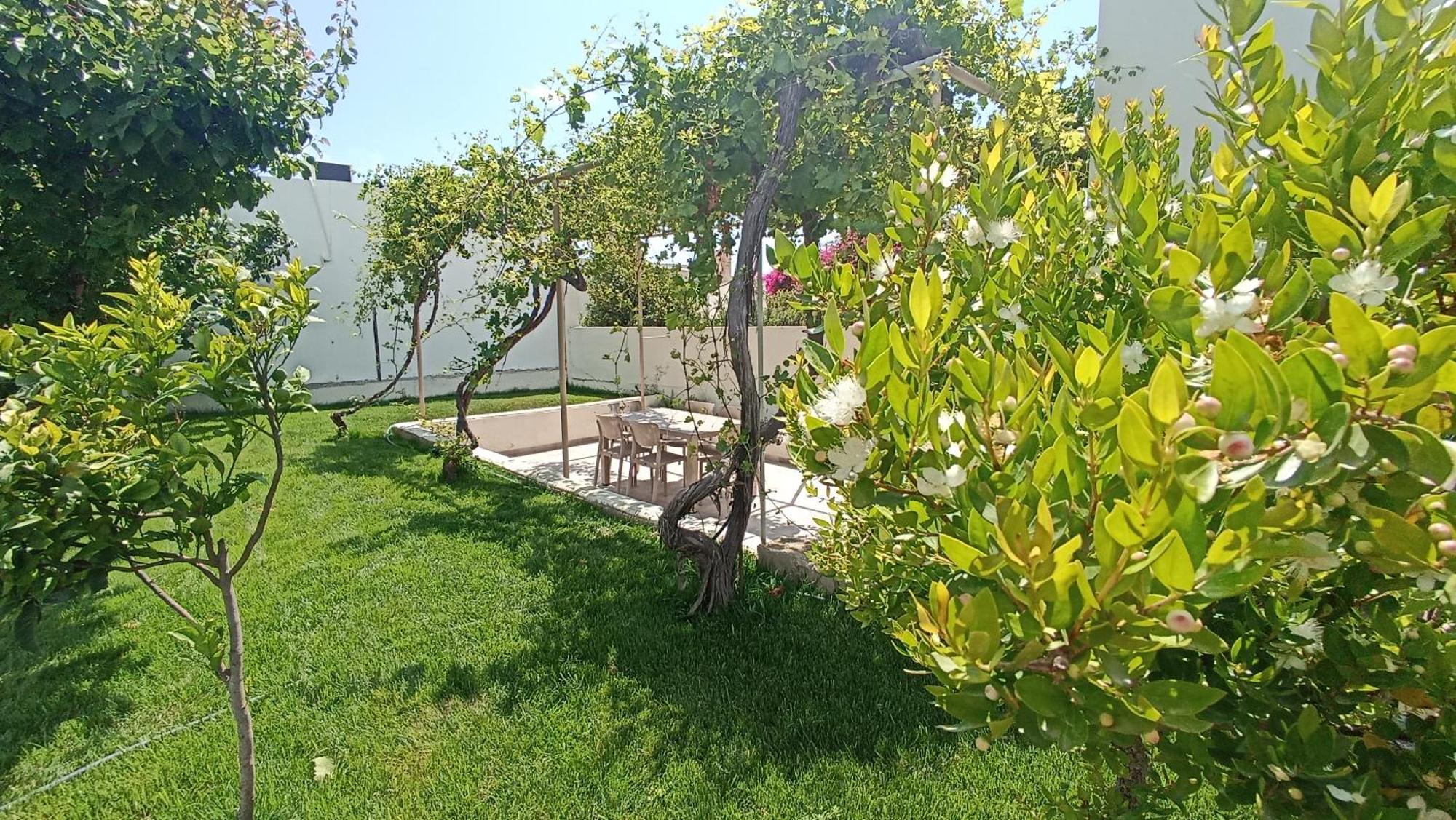 Apartment Dimitra With Garden In - Prassonisi Kattavia